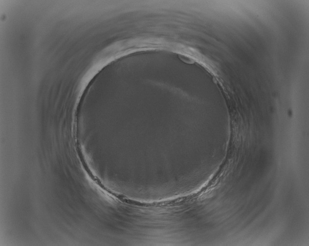 X0000067391527200603311246