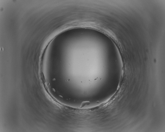 X0000067391528200603311246