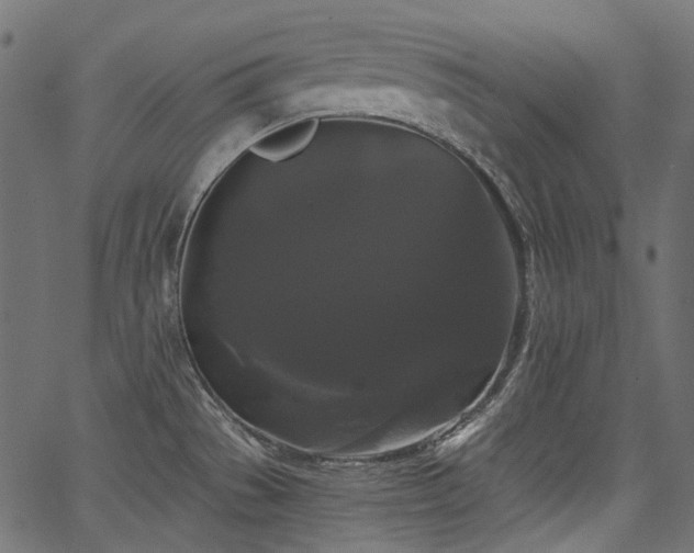 X0000067391529200603311246