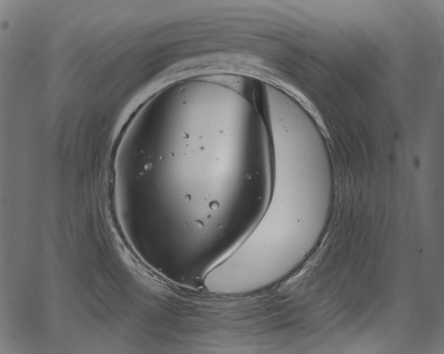 X0000067391530200603311246