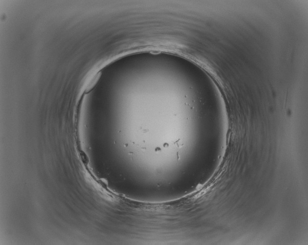 X0000067391532200603311246