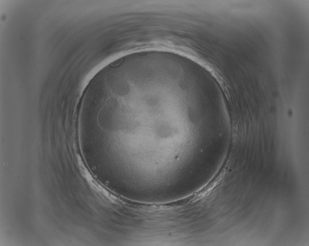 X0000067391534200603311246