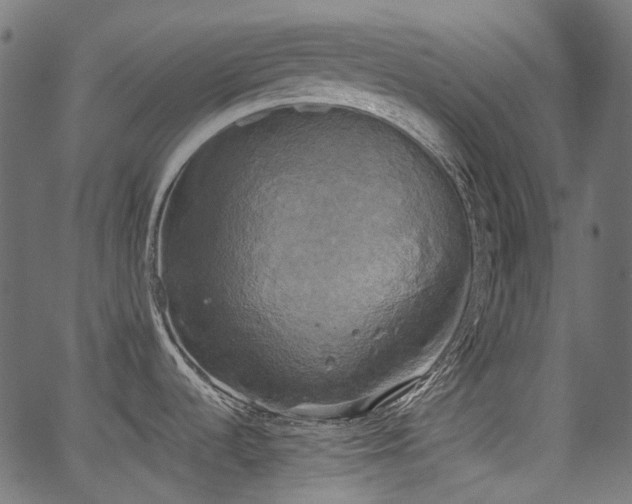 X0000067391536200603311246