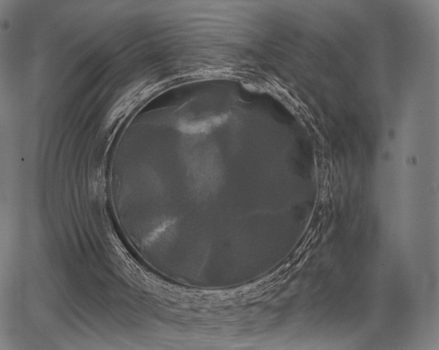 X0000067390002200604031044