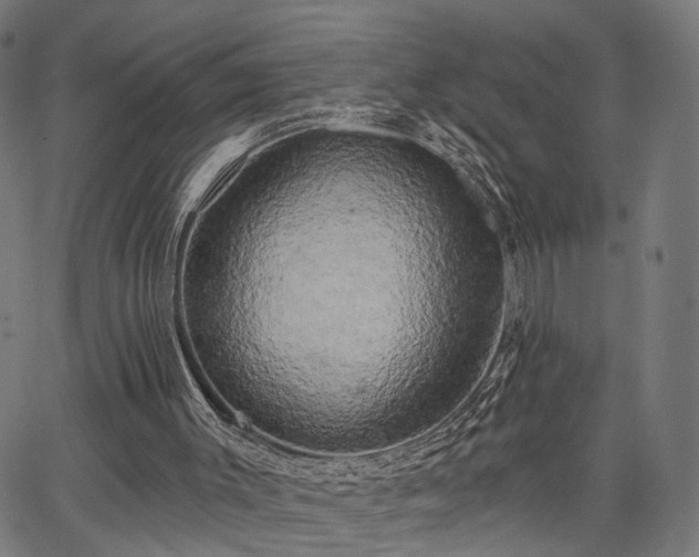 X0000067390003200604031044