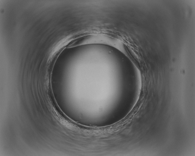 X0000067390005200604031044