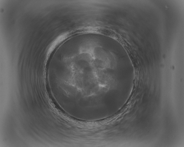 X0000067390006200604031044