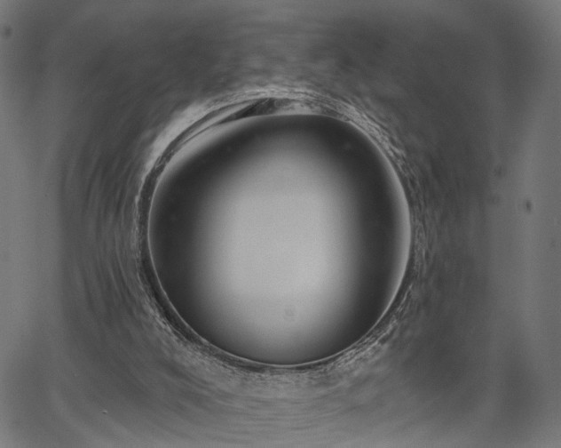 X0000067390008200604031044