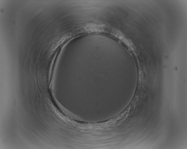 X0000067390009200604031044