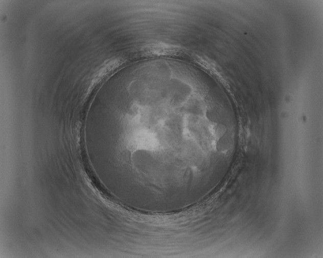 X0000067390010200604031044