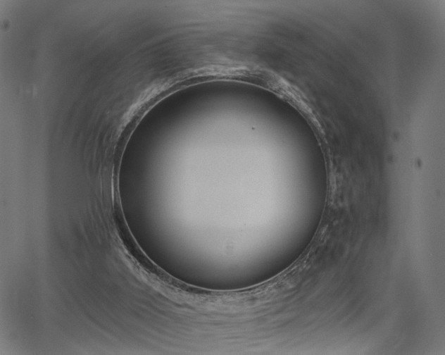 X0000067390011200604031044