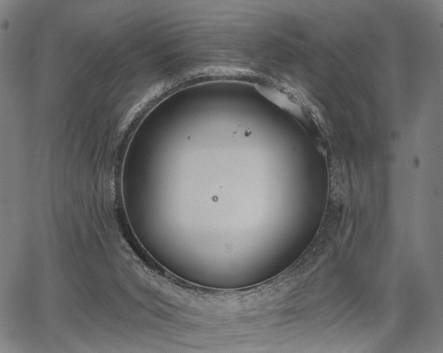 X0000067390015200604031044