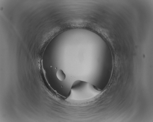 X0000067390017200604031044