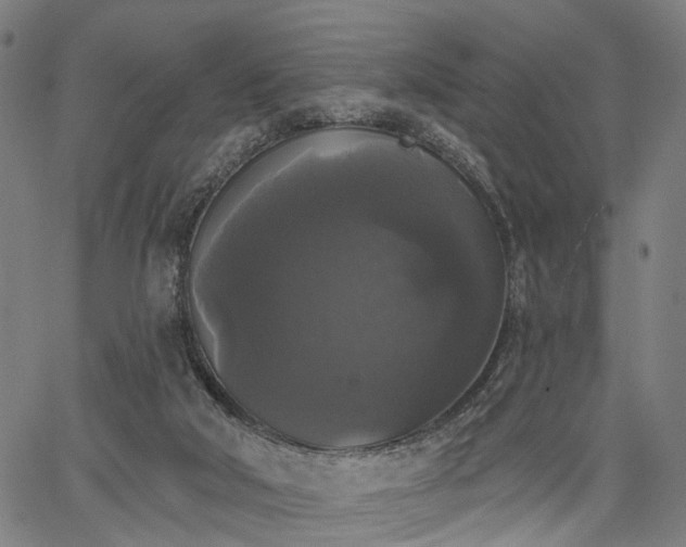 X0000067390018200604031044