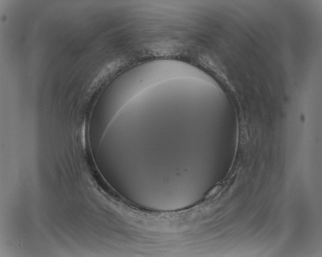 X0000067390019200604031044