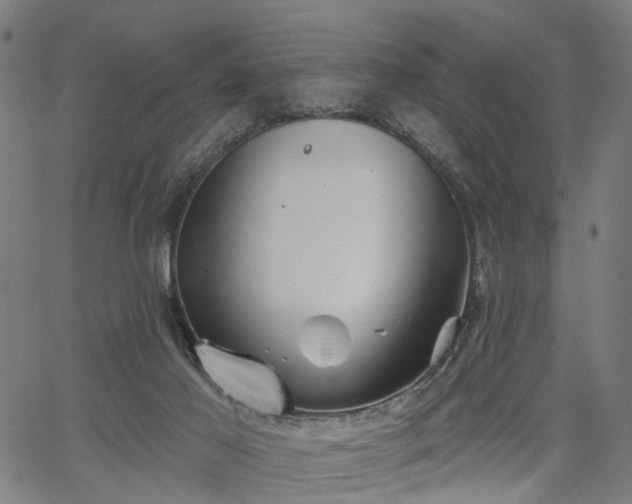 X0000067390021200604031044