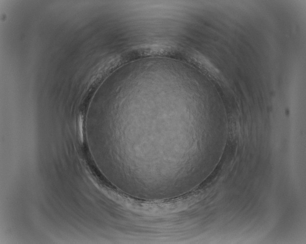 X0000067390022200604031044