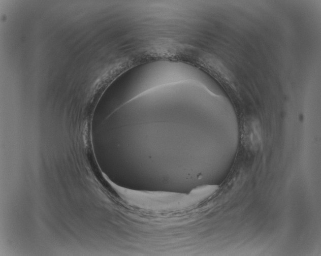 X0000067390023200604031044