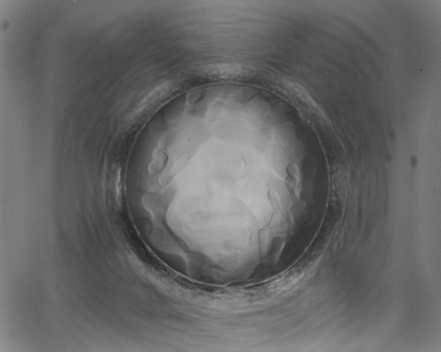 X0000067390024200604031044