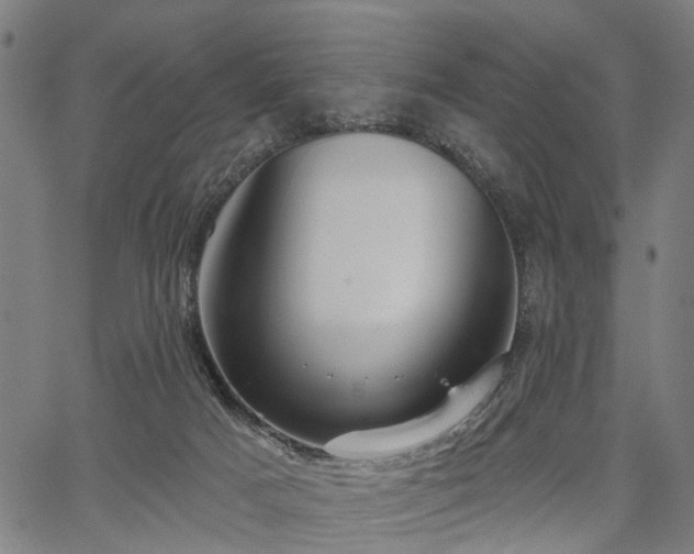 X0000067390025200604031044