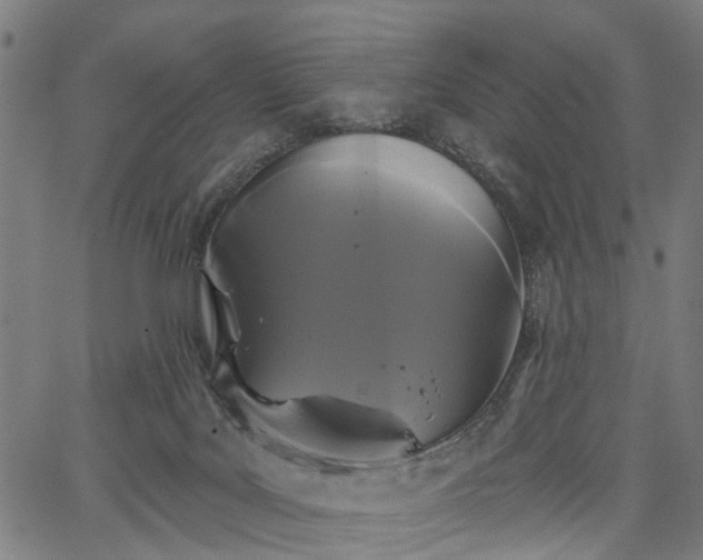 X0000067390027200604031044