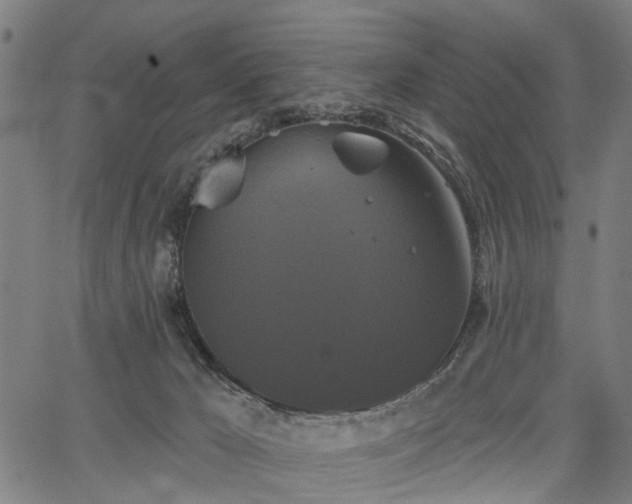 X0000067390029200604031044