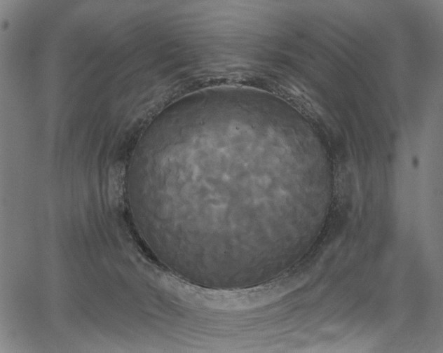 X0000067390030200604031044