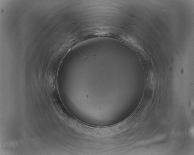 X0000067390031200604031044