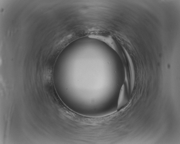 X0000067390033200604031044