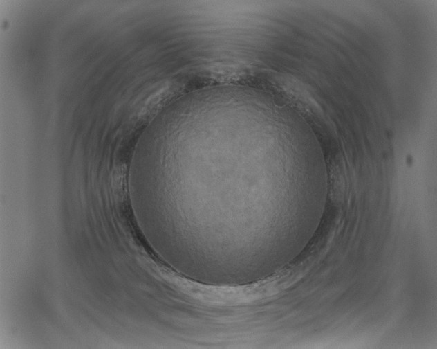 X0000067390034200604031044