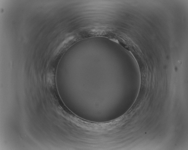 X0000067390035200604031044