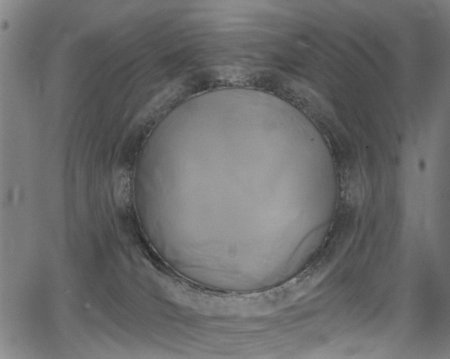 X0000067390036200604031044