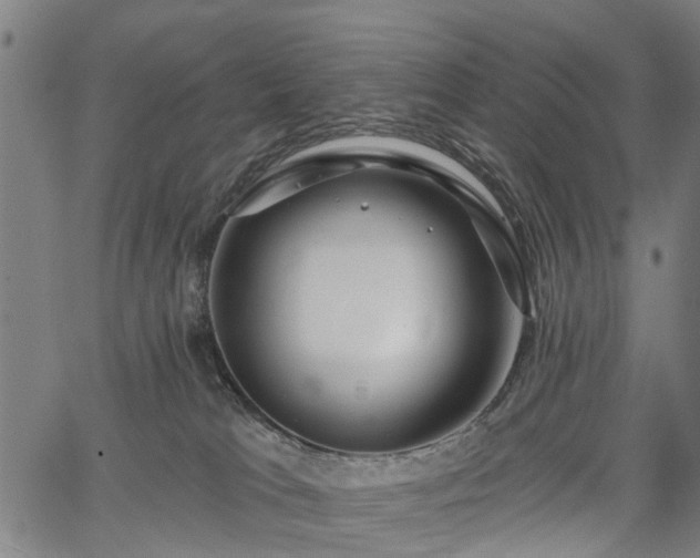 X0000067390037200604031044