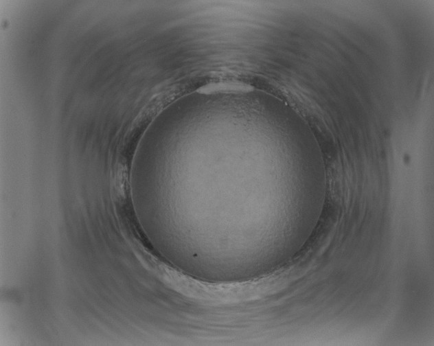 X0000067390038200604031044