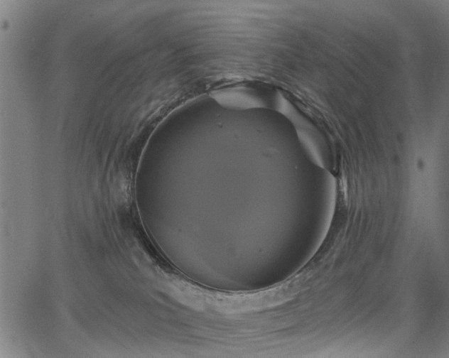 X0000067390039200604031044