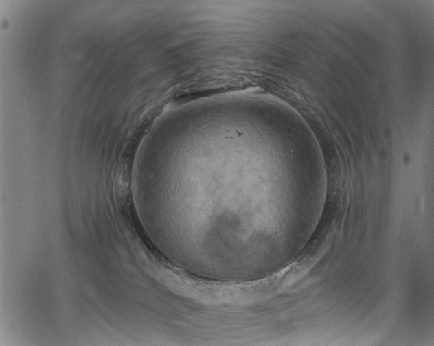 X0000067390040200604031044