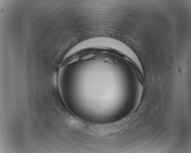 X0000067390041200604031044