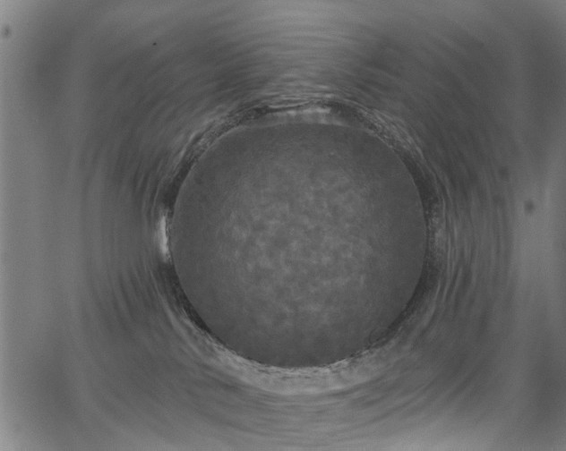 X0000067390042200604031044