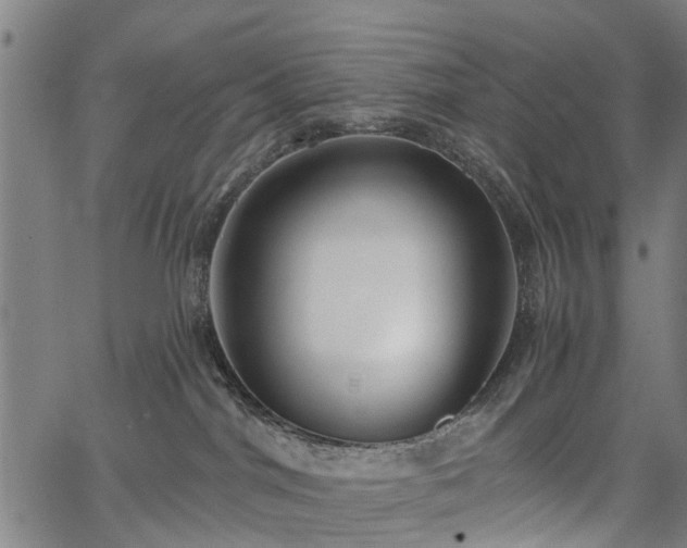 X0000067390044200604031043