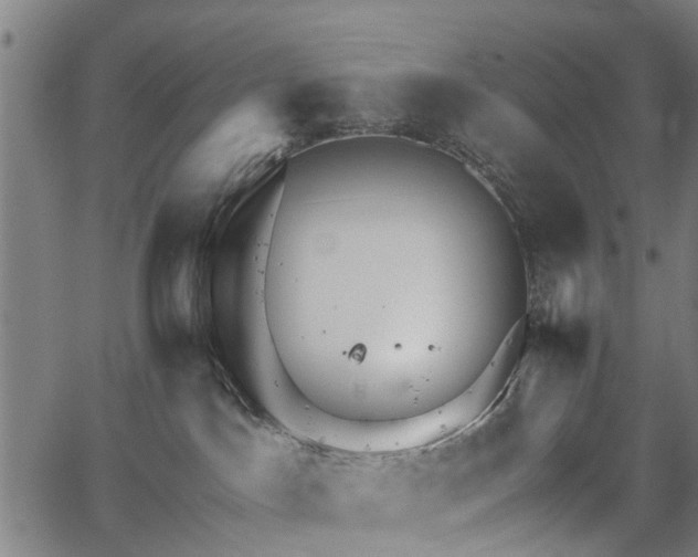 X0000067390045200604031043