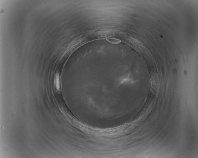 X0000067390046200604031043