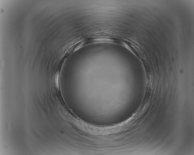 X0000067390047200604031043