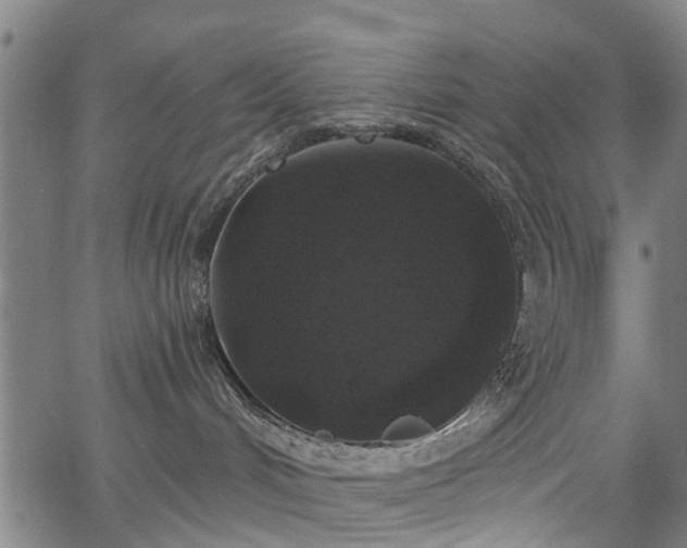 X0000067390048200604031043