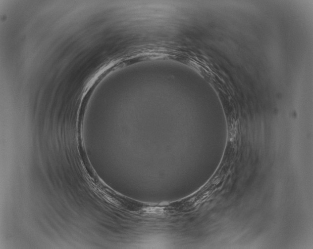 X0000067390052200604031043