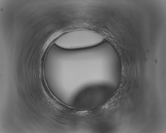 X0000067390054200604031043