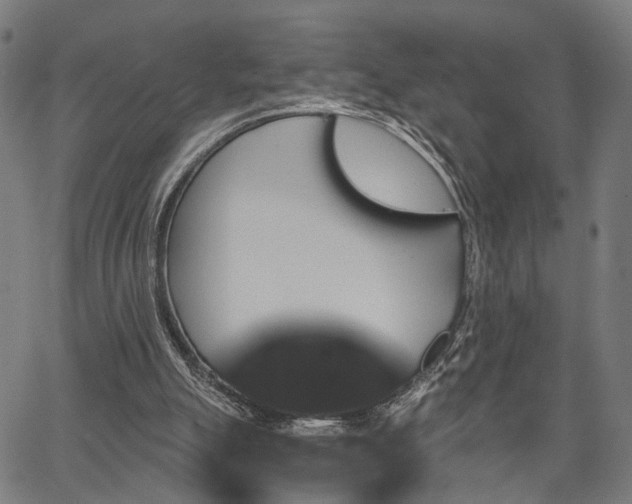 X0000067390055200604031043