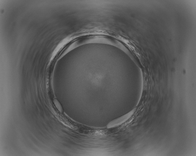 X0000067390056200604031043