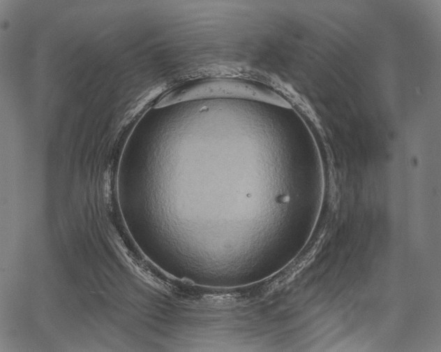 X0000067390057200604031043