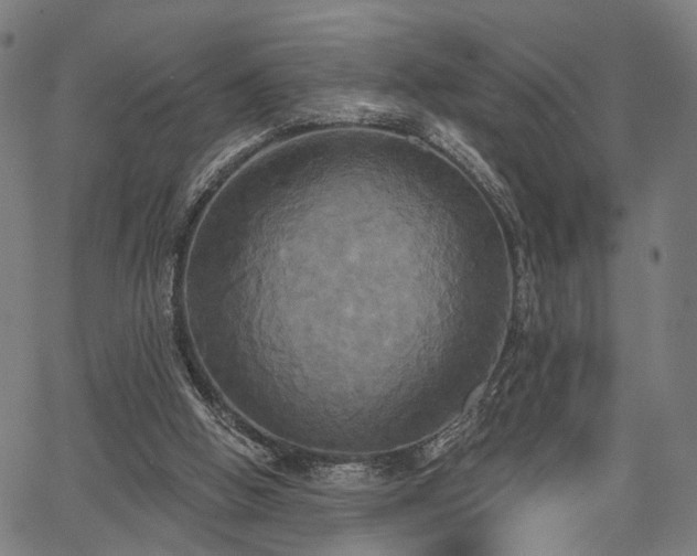 X0000067390058200604031043