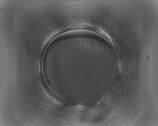 X0000067390059200604031043